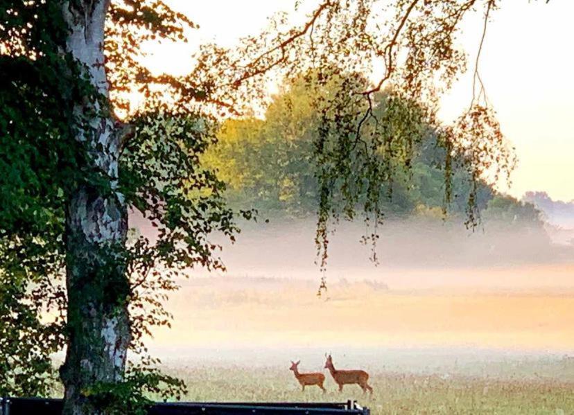 Meiks Ostseehuetten Dranske Luaran gambar